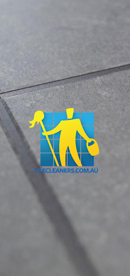 Adelaide/Port Adelaide Enfield/Clearview bluestone tile sample dark grout zoomed