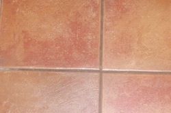 grout colour before sealing by tile cleaners 