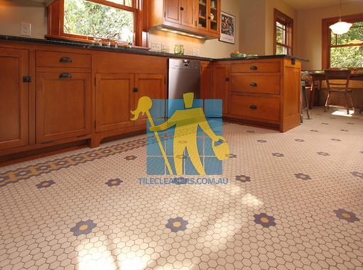 traditional kitchen with porcelain floor mosaic tiles with unglazed finish