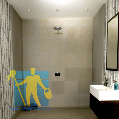 Limestone Wall Tile Shower Valley View