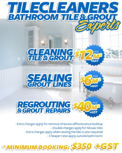bathroom tile cleaning sealing regrouting 