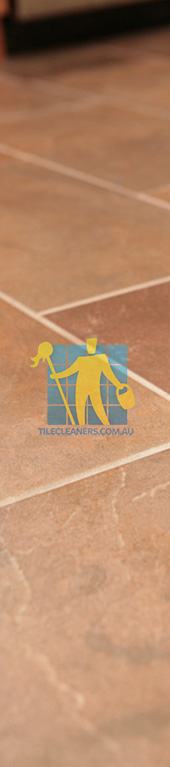 contemporary kitchen with porcelain tiles that mimic slate tile without texture Brisbane/Moreton Bay Region/Wamuran Basin