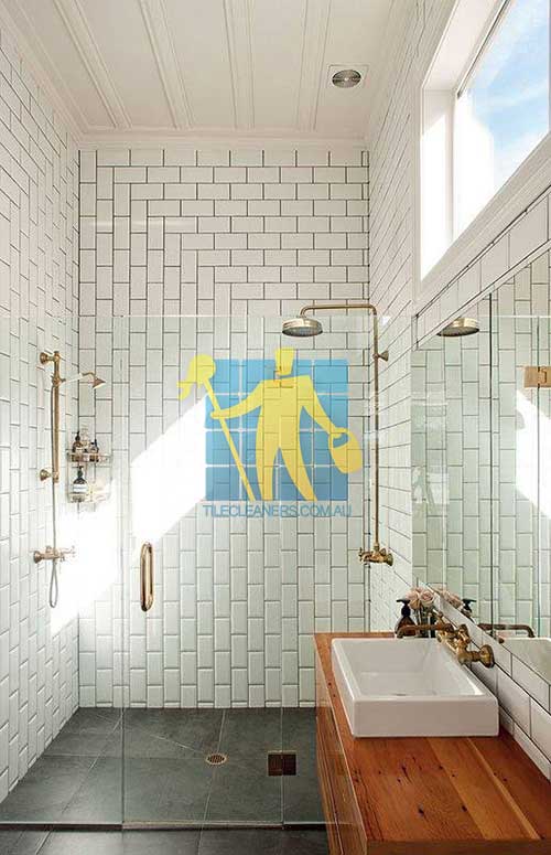 porcelain bathroom wall tiles Eastwood
