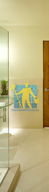 terrazzo tiles in bathroom floor light contemporary style Canberra/Canberra Central