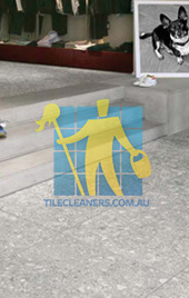 terrazzo tiles indoors grey contemporary furnished Canberra/Jerrabomberra