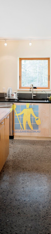 terrazzo tiles kitchen floor dark contemporary kitchen no grout Melbourne/Yarra/Alphington