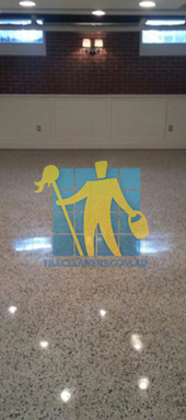 terrazzo tiles polished light color in modern basement Sydney/Northern Beaches/Manly Vale