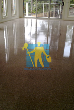 terrazzo tiles large empty room after cleaning shiny shadow Sydney/Northern Beaches/Balgowlah