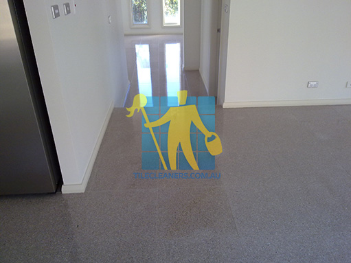 terrazzo tiles empty house dirty with dark stains Stanmore
