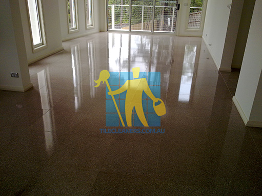 terrazzo tiles large empty room after cleaning shiny shadow Valley View