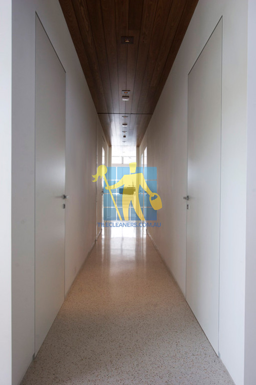 terrazzo tiles modern metro long hallway favicon.ico