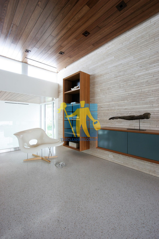 terrazzo tiles polished light color in modern living room Hillcrest