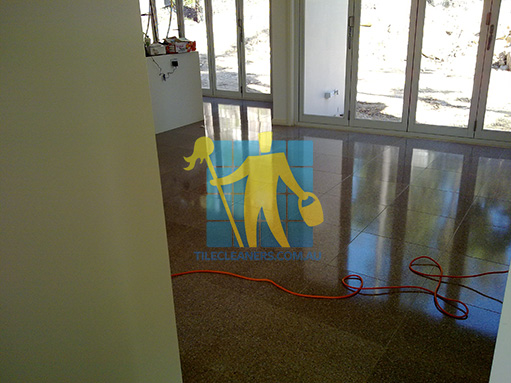 terrazzo tiles with light shadow from windows during cleaning job Hillcrest