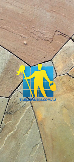 Melbourne/Yarra Ranges/Warburton bluestone tiles irregular shape patio purple cement grout