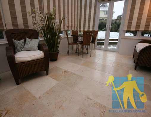 favicon.ico Limestone Floor Tile Siena Vintage Cleaning