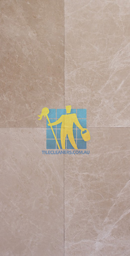 marble tiles portofino Sydney/Inner West/Sydenham