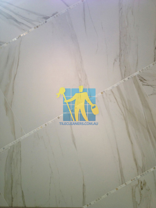 Tighes Hill large porcelain tile reminiscent of calacutta marble tile durable rectified versatile