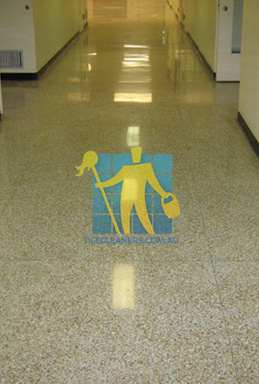 terrazzo floor tiles traditional hall very large tiles Sydney/The Hills